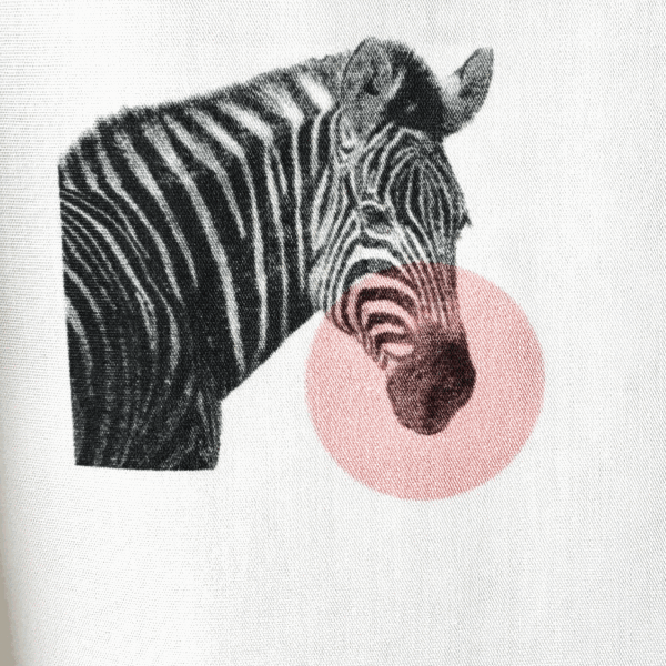 bluza Zebra