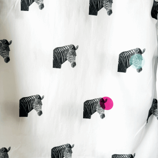 bluza Zebra