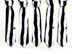 kravata zebra